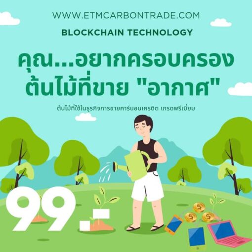 ต้นคาร์บอนเครดิต - Image 11